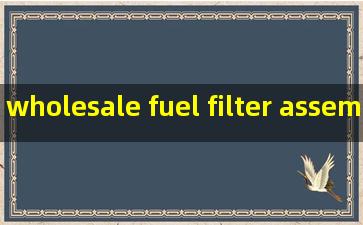 wholesale fuel filter assembly